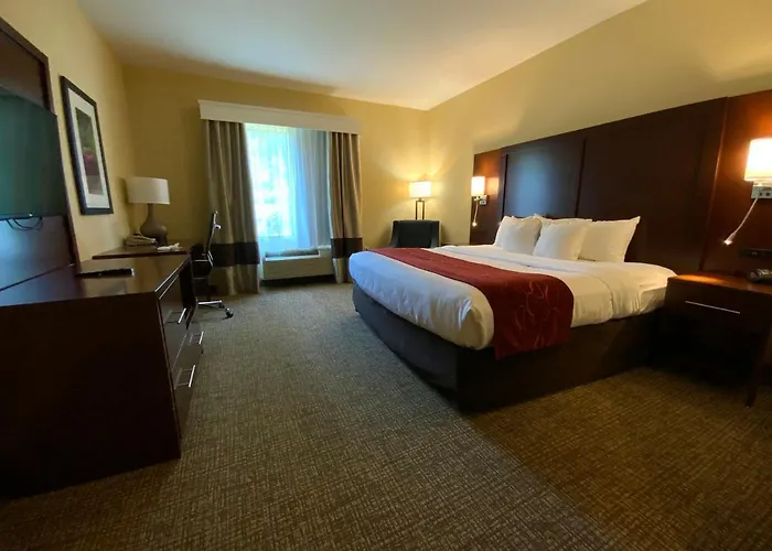 Comfort Suites Fredericksburg North
