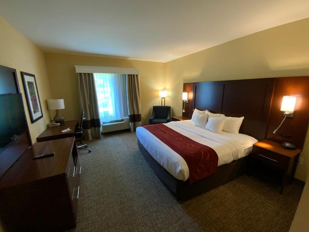 Comfort North 3*